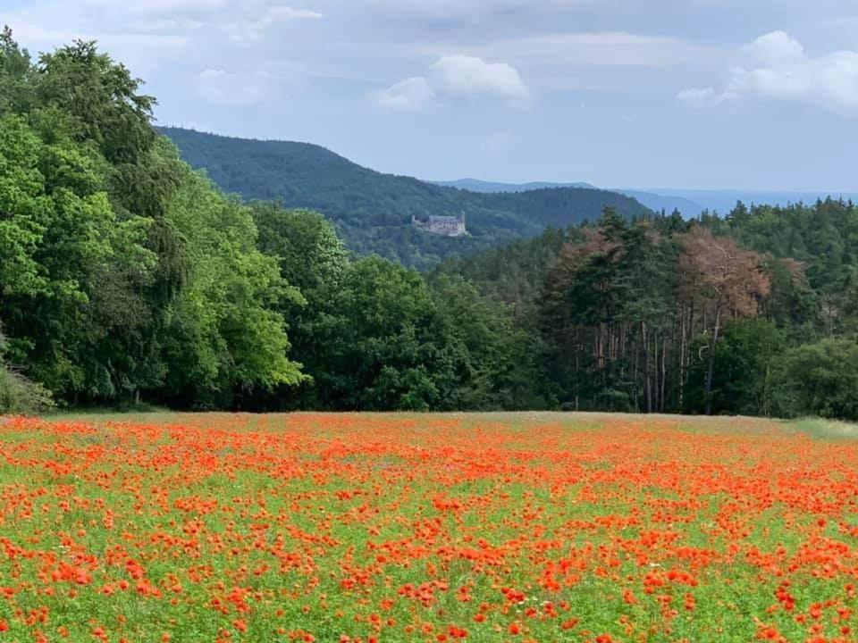 Bungalow Schwarzatalblick In Bad Blankenburg Ortsteil Boehlscheiben Bagian luar foto