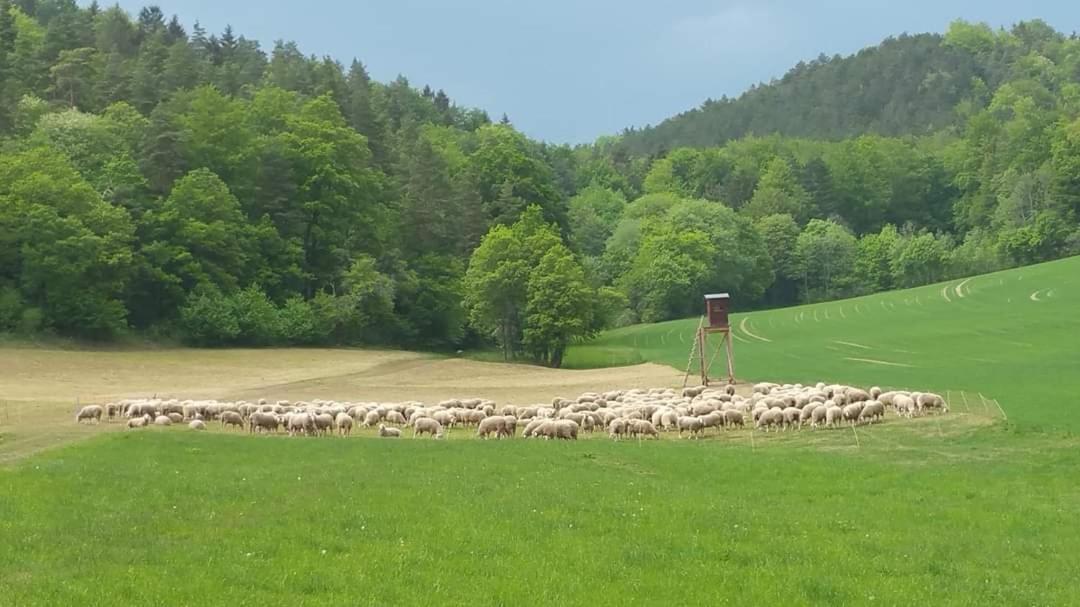 Bungalow Schwarzatalblick In Bad Blankenburg Ortsteil Boehlscheiben Bagian luar foto